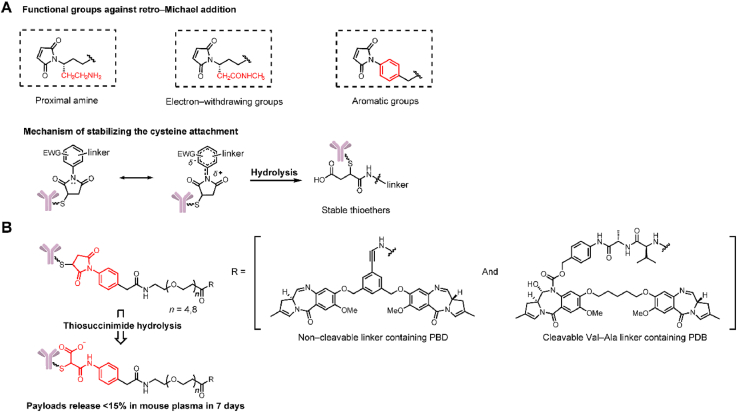 Figure 11