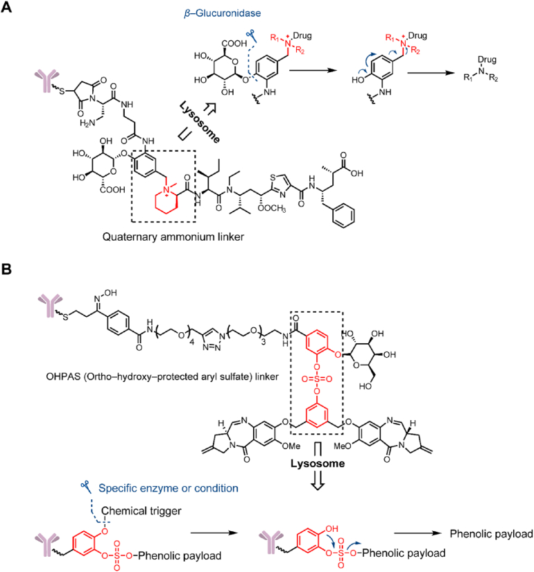 Figure 13