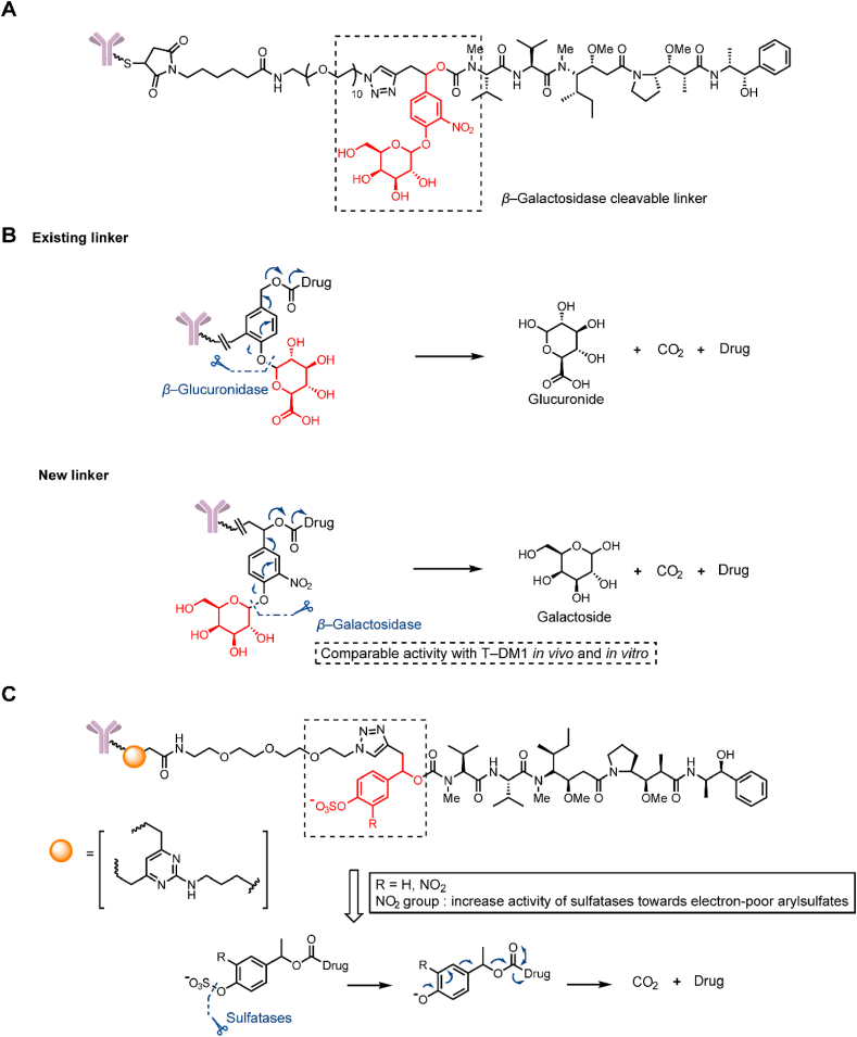 Figure 6