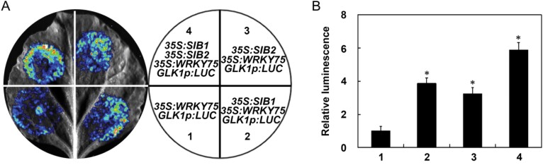 Fig. 6.