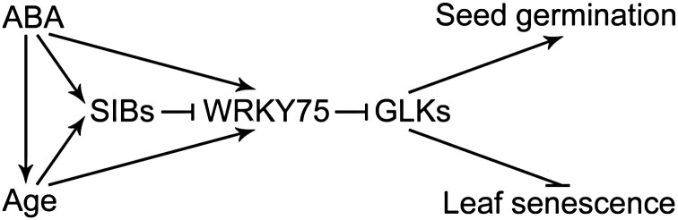 Fig. 8.