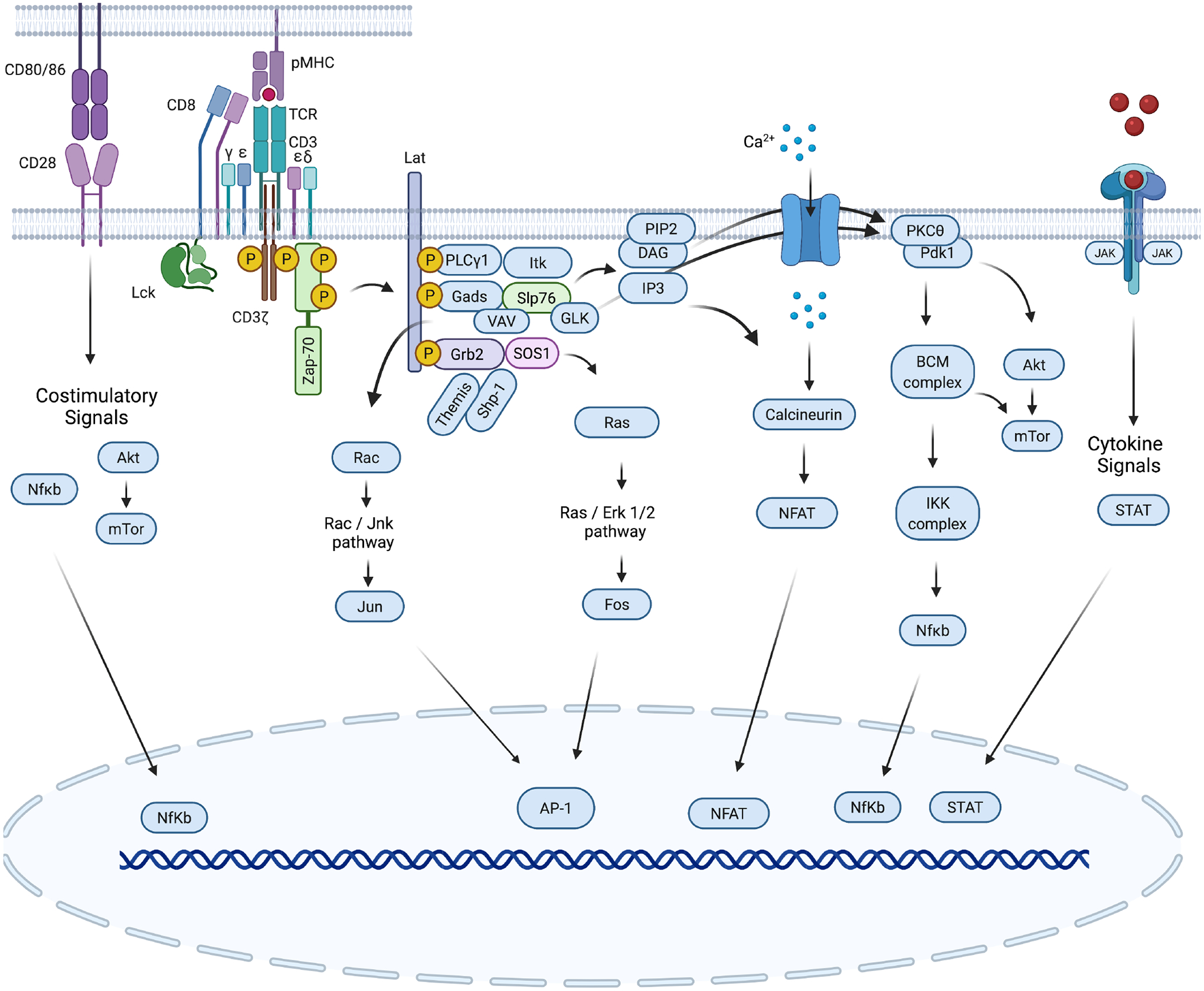 Fig. 2.