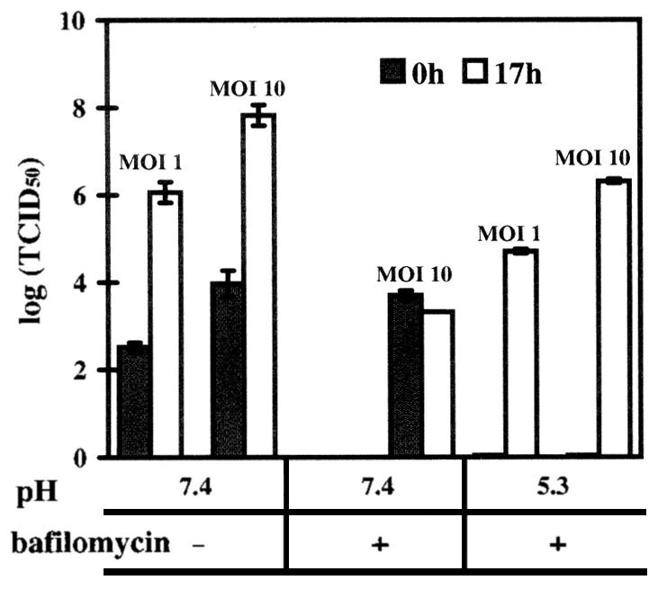 FIG. 6.