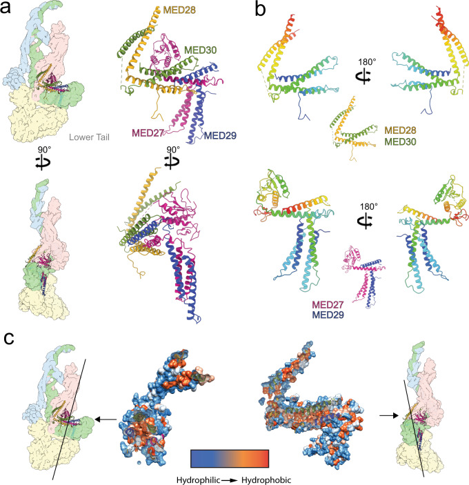 Fig. 4