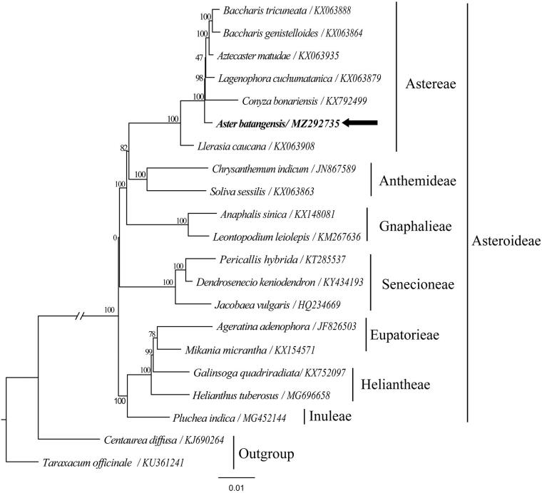 Figure 1.