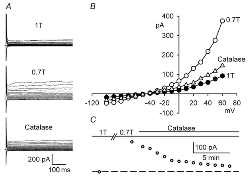 Figure 7