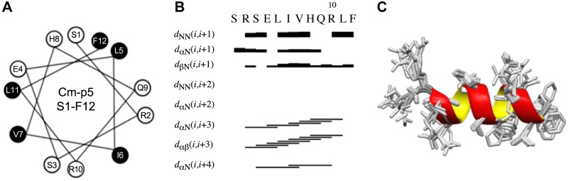 Figure 2.