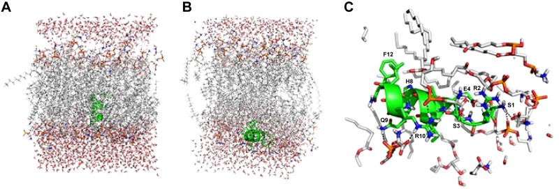 Figure 4.