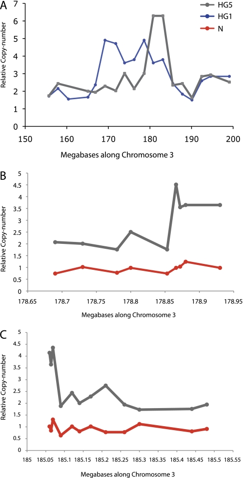 Figure 2.