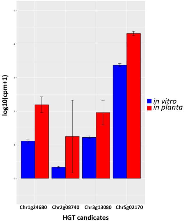 Fig. 8.