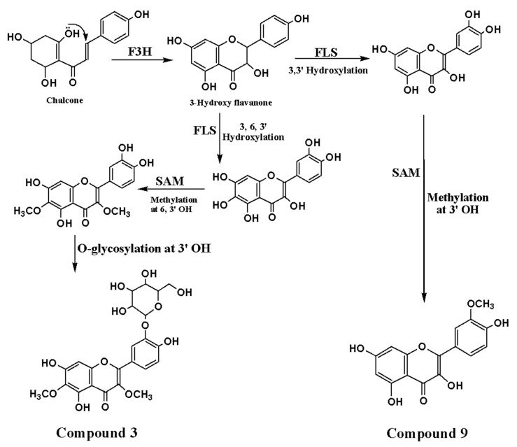 Figure 5