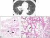 Figure 12