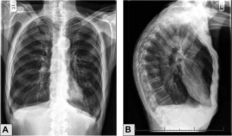 Figure 1