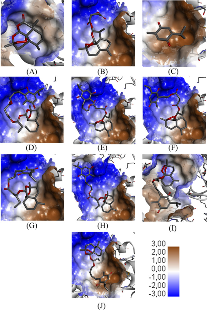 Fig. 10