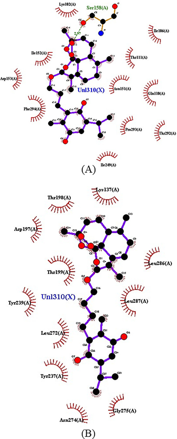 Fig. 8