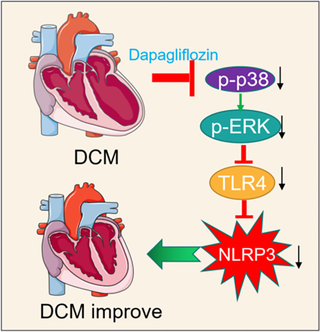 graphic file with name 210_2023_2409_Figa_HTML.jpg