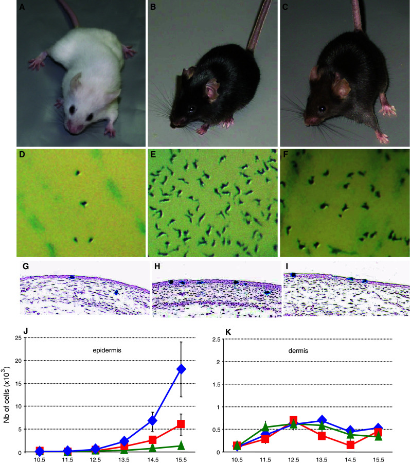 Fig. 1