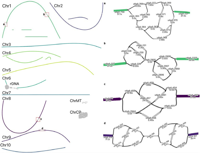 Figure 5: