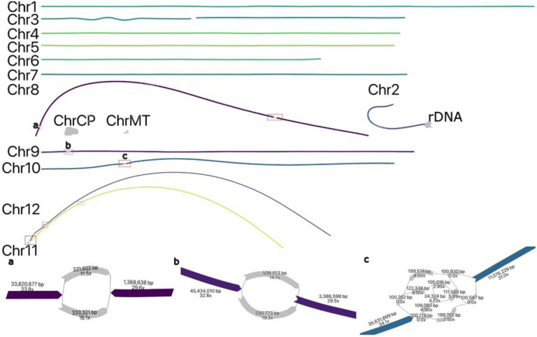 Figure 4: