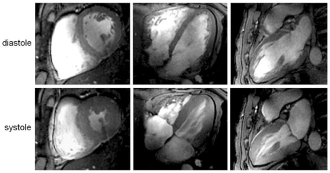 Fig. 5