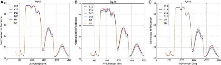 Figure 5