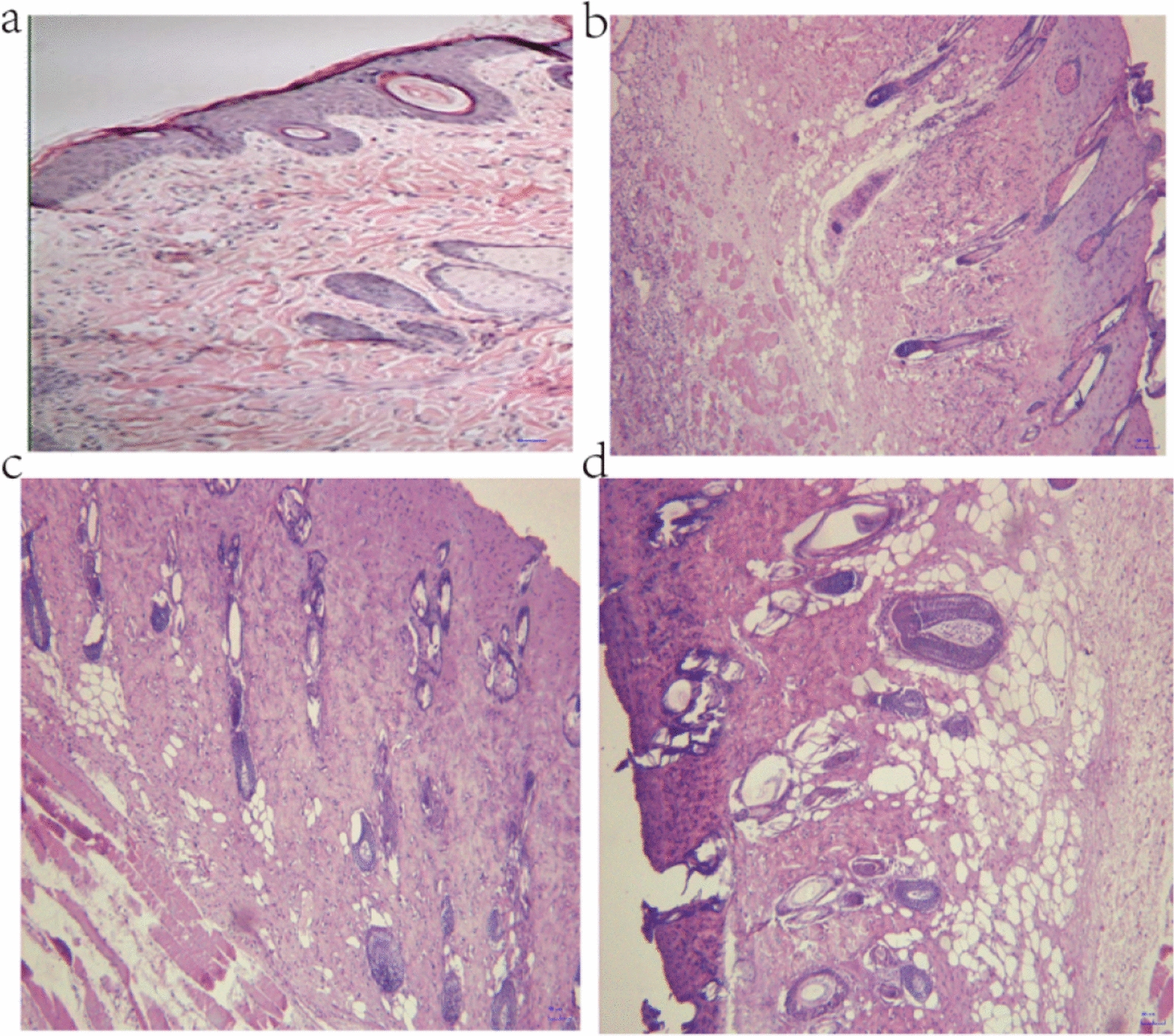Fig. 2
