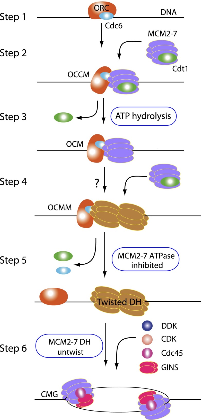 Figure 6.