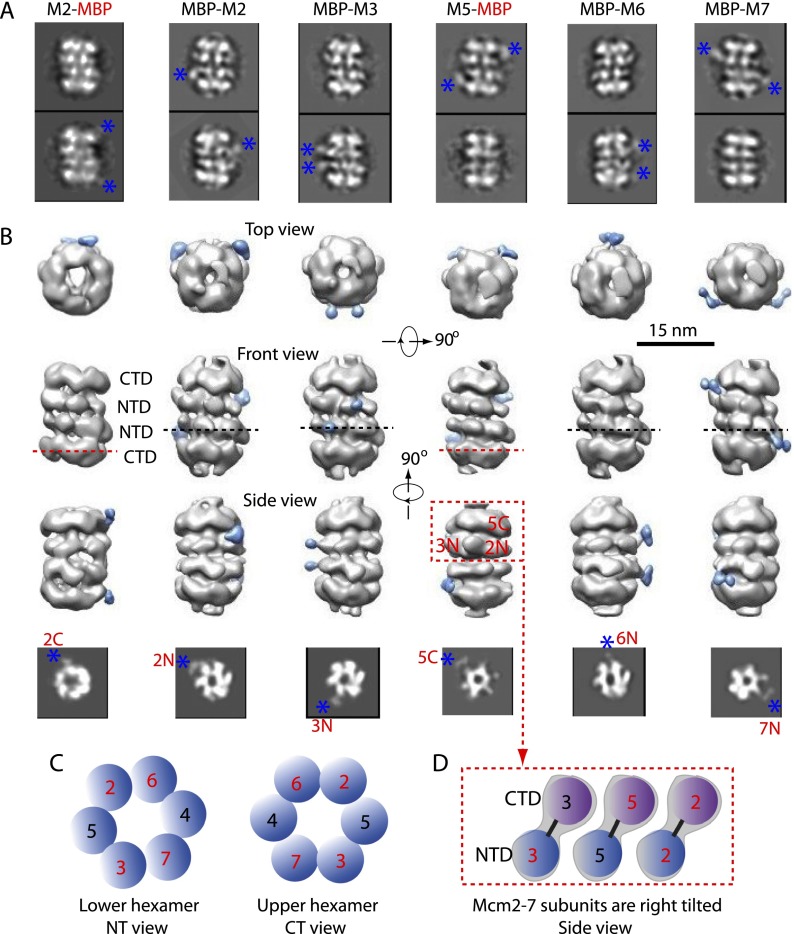 Figure 3.