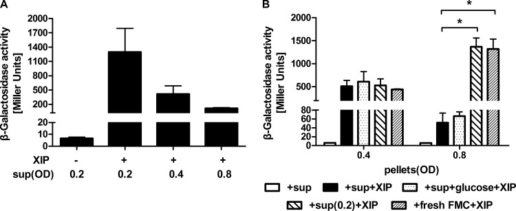 FIG 2