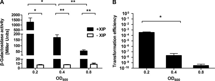 FIG 1