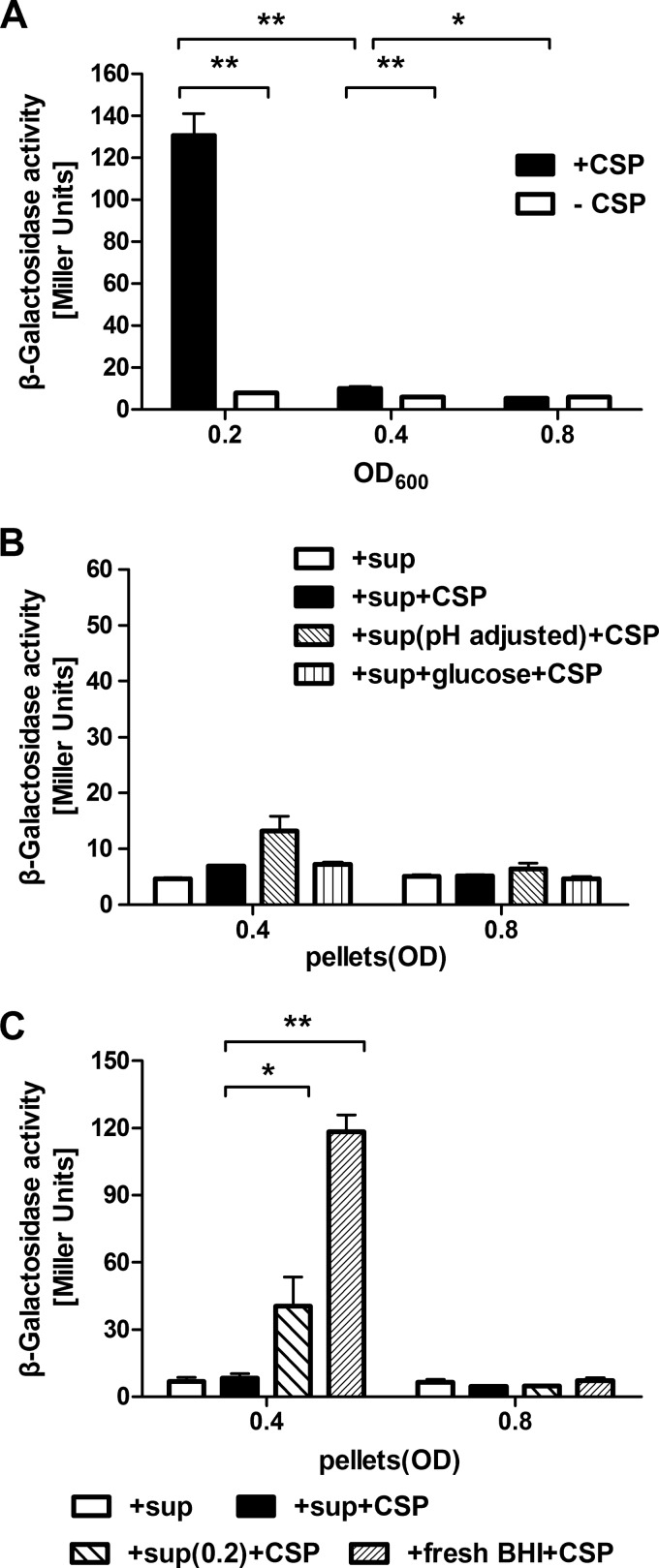 FIG 6