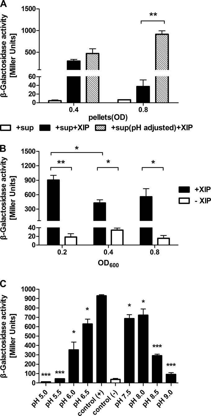 FIG 3