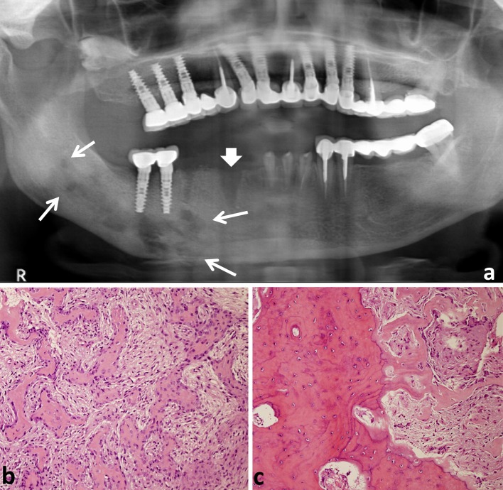 Fig. 3