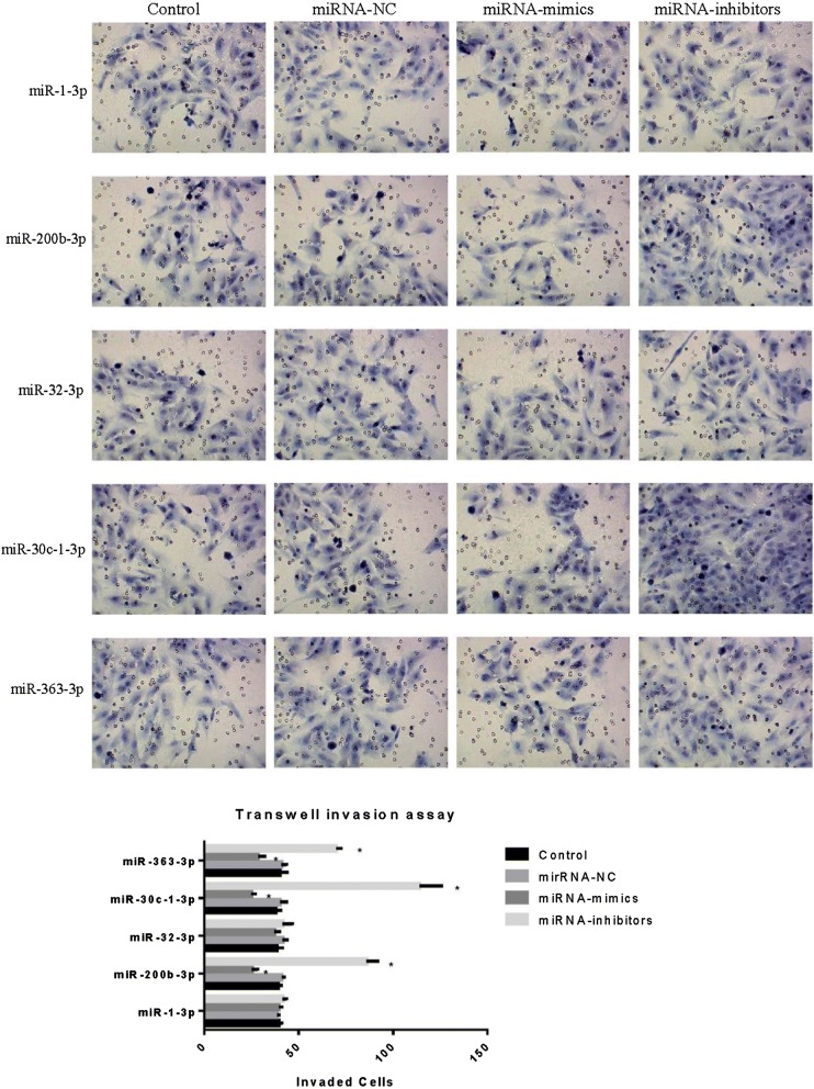 Fig. 6