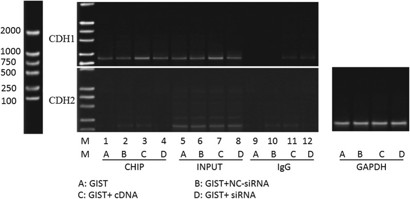 Fig. 10