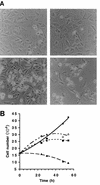 FIG. 4