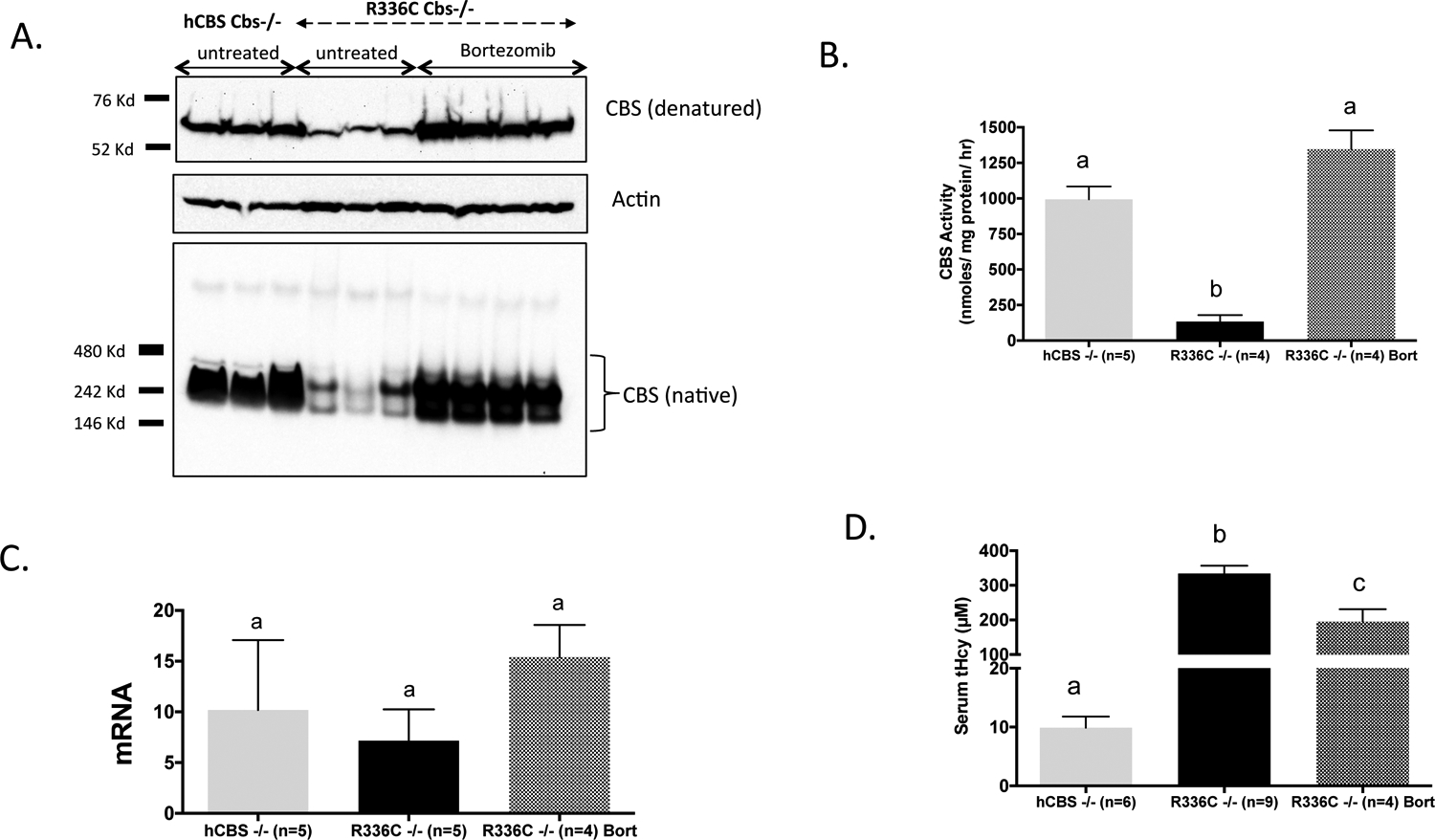 Fig 3.