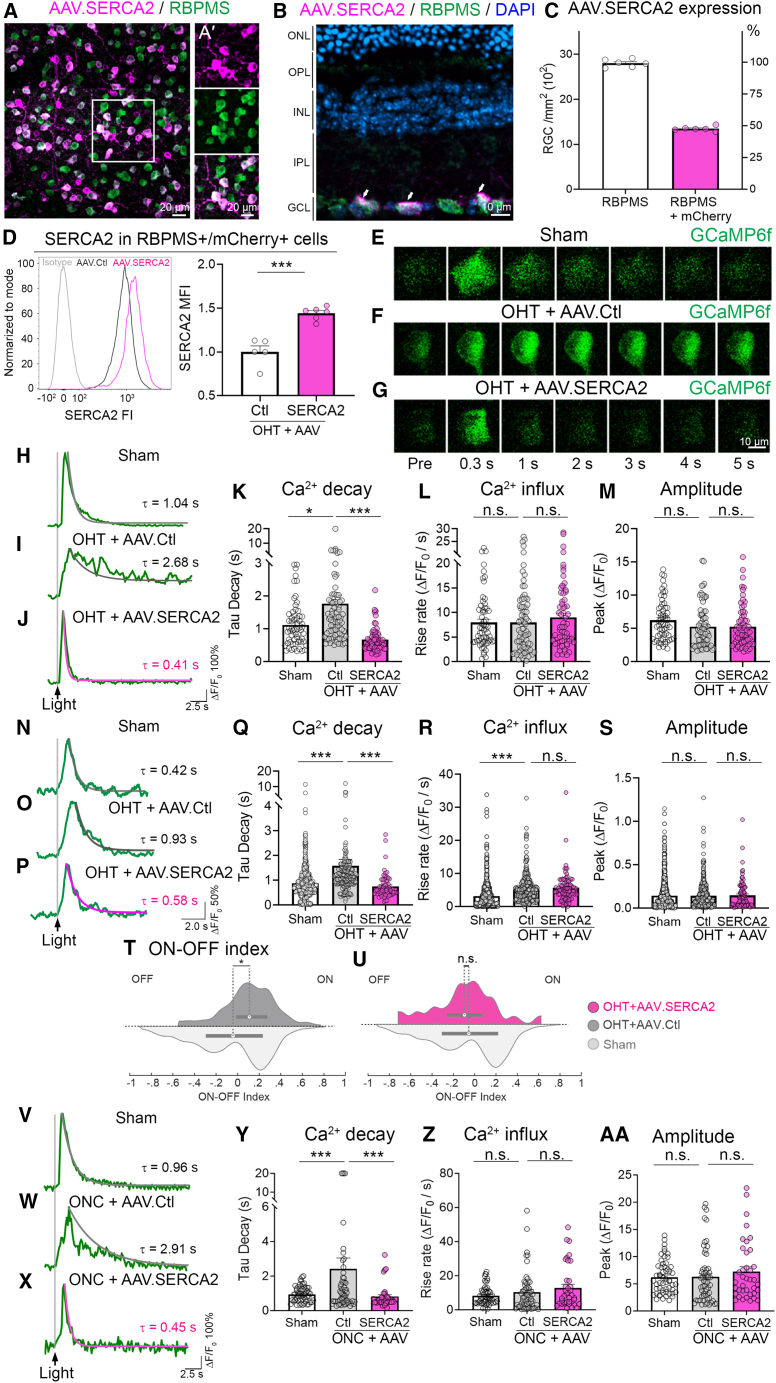 Figure 6