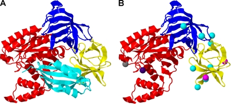 FIGURE 1.