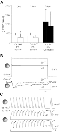 Fig. 8.