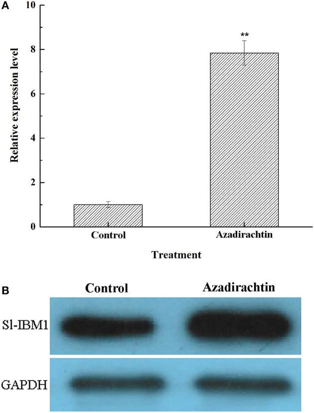 Figure 6