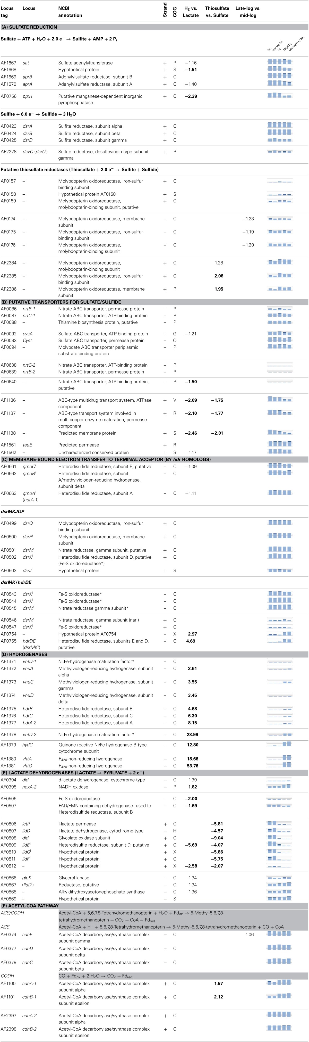 graphic file with name fmicb-05-00095-i0001.jpg