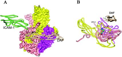 FIG. 5.