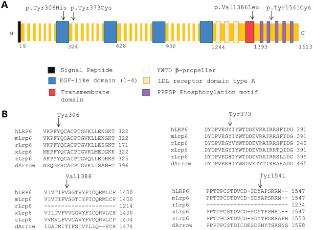 Figure 4.