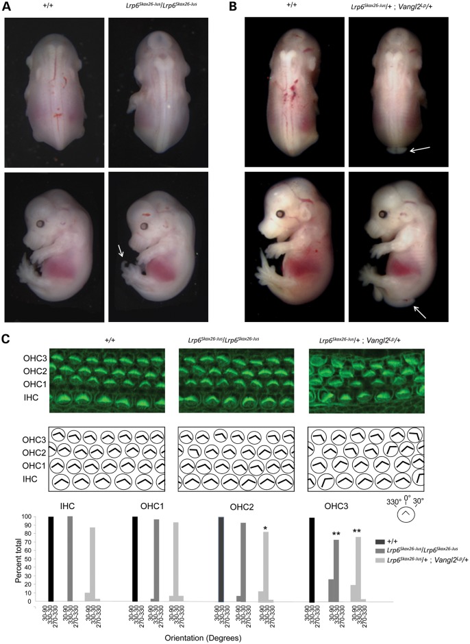 Figure 3.