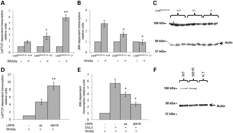 Figure 2.