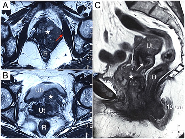 Figure 1