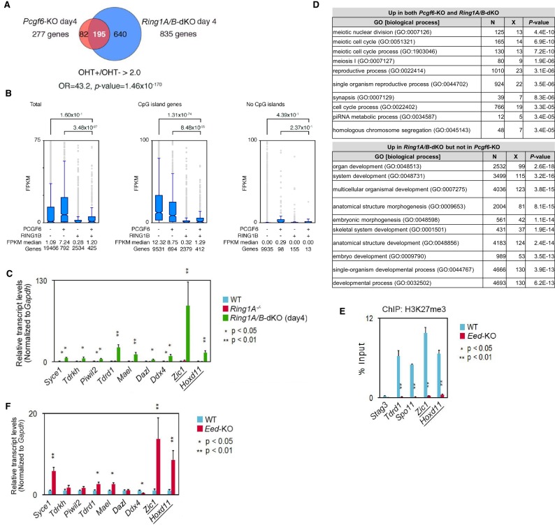 Figure 2—figure supplement 1.