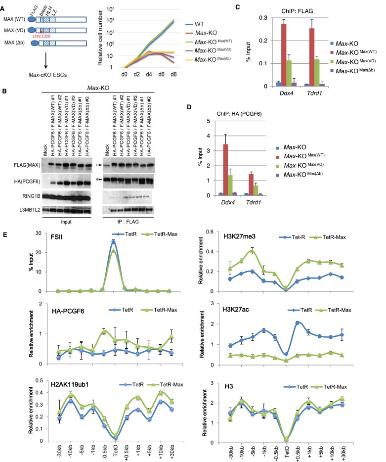 Figure 4—figure supplement 2.