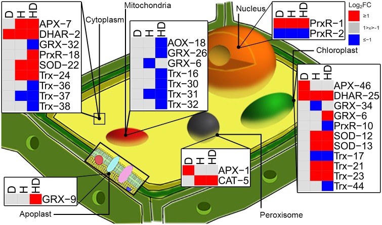 Fig 4